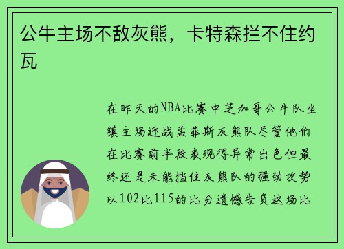 公牛主场不敌灰熊，卡特森拦不住约瓦
